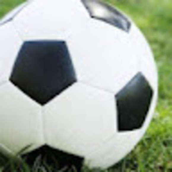 Meet your Posher, Hailey - Picture 1 of 1